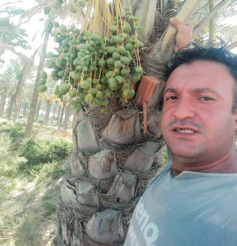 Image pertaining to ISE RAZAE
