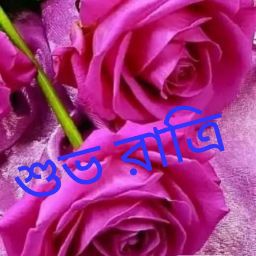 Bipul Biswas