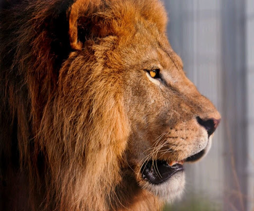 Omar David Machuca Ñuflo