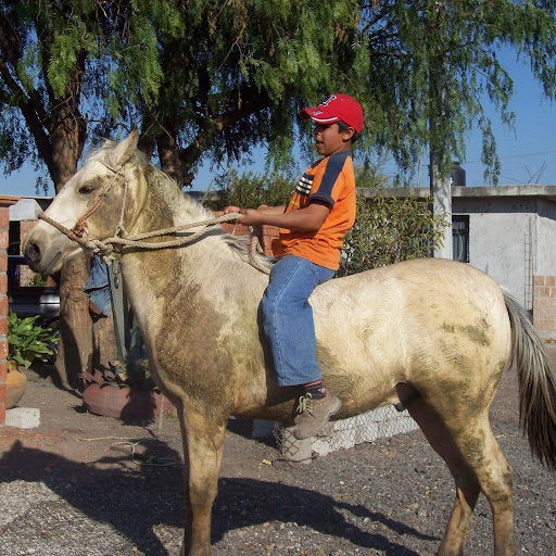 GERARDO GONZALEZ MEDRANO