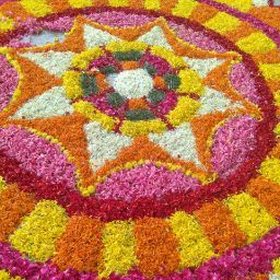 Image pertaining to LOGANATHAN RAMESH