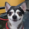 李宗庭 1