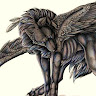 author-avatar