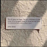 author-avatar