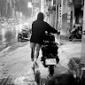簡晟倫