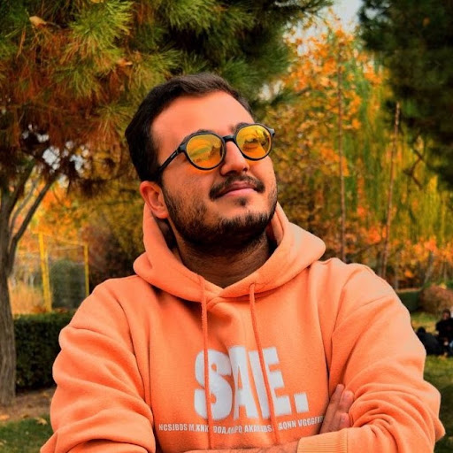 mir ali TALEBNEZHAD