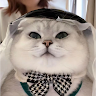 周天天