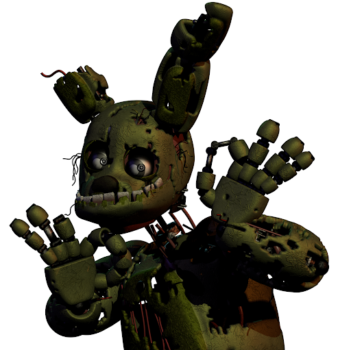 head