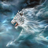 author-avatar