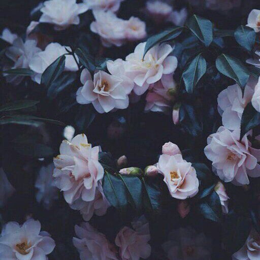 Created by
