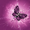 Image pertaining to EMAN DONIA