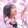 雅晴