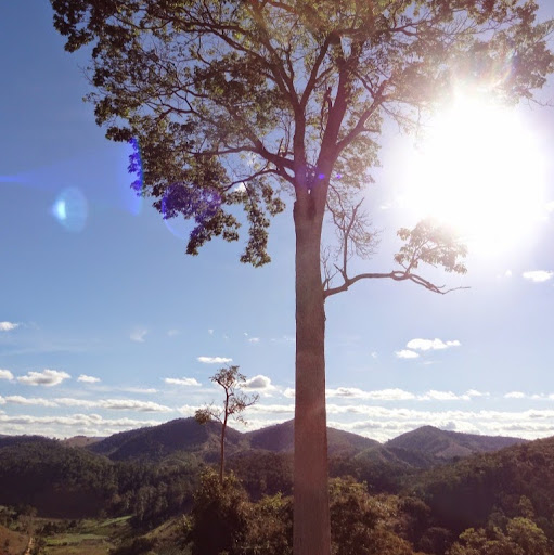 Avatar de Guilherme Carneiro de Mendonça
