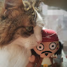 Foto del escritor: Animarts Lover