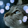Created by