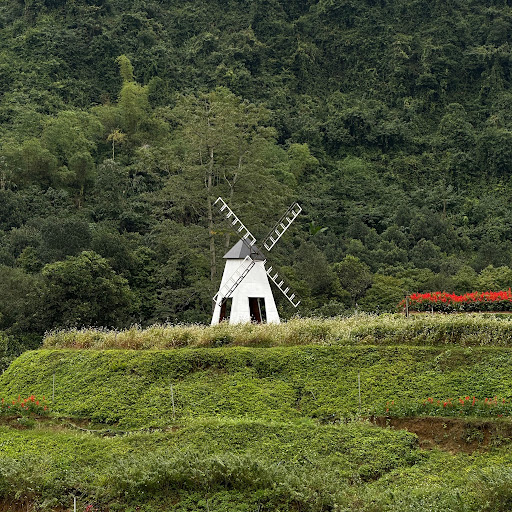 Quỳnh Nga Nguyễn