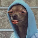 อาชวิน ฉวมพรมอินทร์