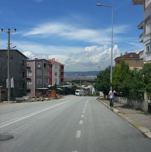 Canip Ozkan