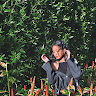 author-avatar