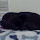 Profile Pciture