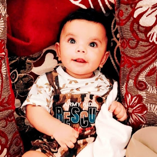 profile image of Shaik Heena