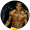 Ray Leonard