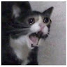 userThumbnail