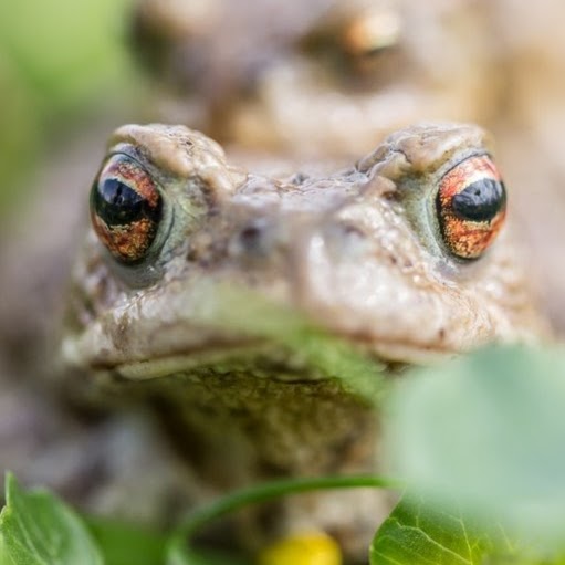 Profiel afbeelding van de eigenaar