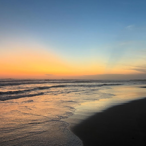 pradeep sharma profile pic