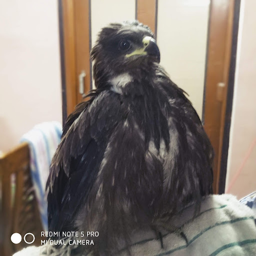 Anand rajak profile pic