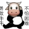Roy Zhang