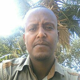 Wondesen Alemu
