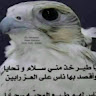 Abo Fahad