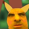 R y