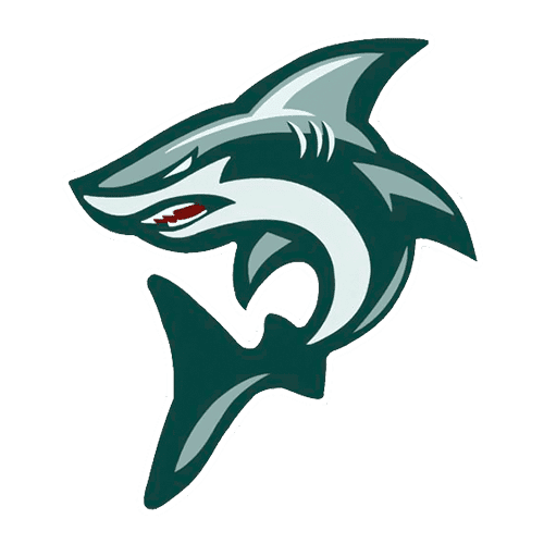 STREET WISE SHARKS