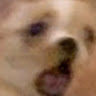j ason