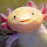 AxolotlMan