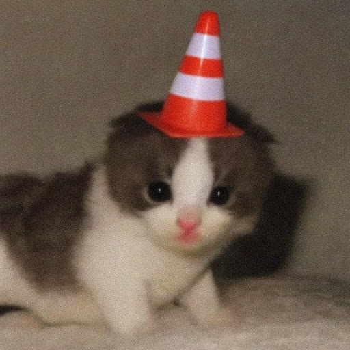 Филипп Тишкин