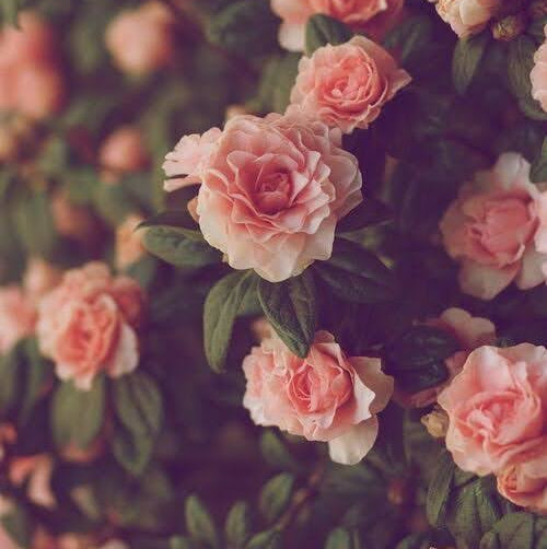 fluffy_unicorn 1897Plays