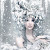 author-avatar