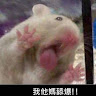 劉子維