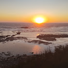 ユーザー: rafael dias