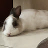 23黃宇宏
