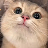 西瓜汁