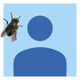 MOSCA CHATA's user avatar