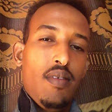 User: noradin issedin