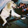 Shiloh author photo 