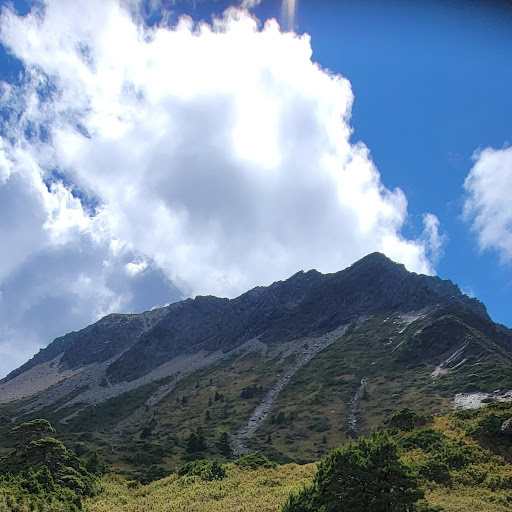 Thao Nguyen M.的頭像