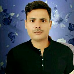 Contact Person