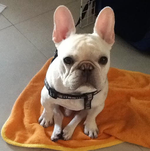 夜市小攤販的頭像